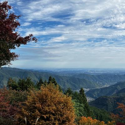 僕が僕であるための水シャワー習慣