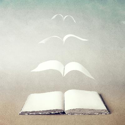 Embracing Twilight: Older Women Poets of the Slavic World and the Unfurling of Their Voices