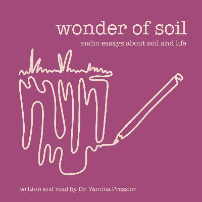 Soils teach us to notice what's in the background Soils teach us to notice what's in the background