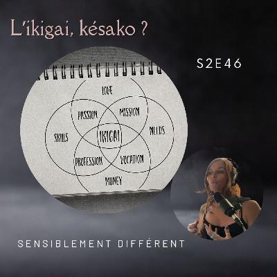 S2E46 - L'ikigai, Kézako ? 🚀🌟