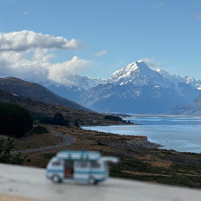 09.汉密尔顿 | 新西兰 逛不设大门的“景区”，汉密尔顿花园，旅行中的感悟与体会