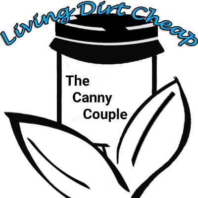 Episode 1 - Our Health Scare, Rebrand & Frugal Living That Actually Works