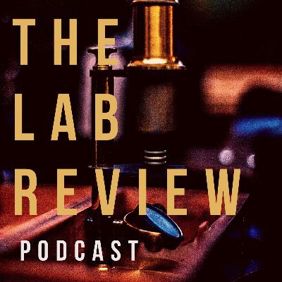 LAB No. 1 - Black Women in Luxury