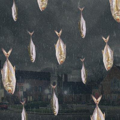 SCP-1686 Fishy Rain SCP-1686 Fishy Rain