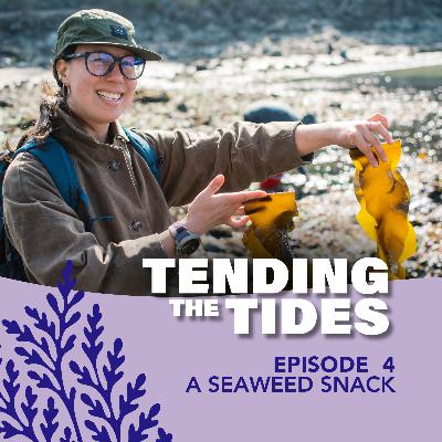 Episode 4: A Seaweed Snack