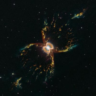 La vita nello Spazio