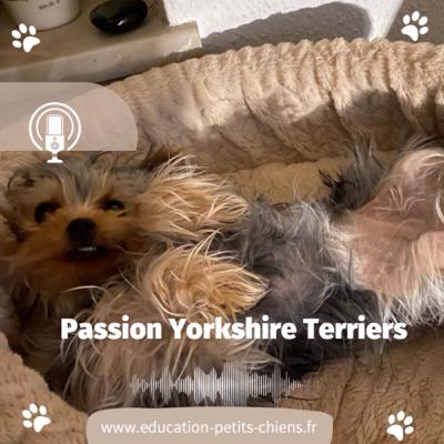Passion Yorkshire terriers :Le guide de formation humaine : comment dormir avec vos humains
