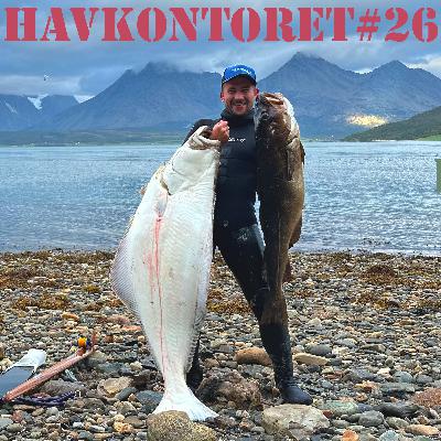 Havkontoret 26 - Eivind Larsen 2