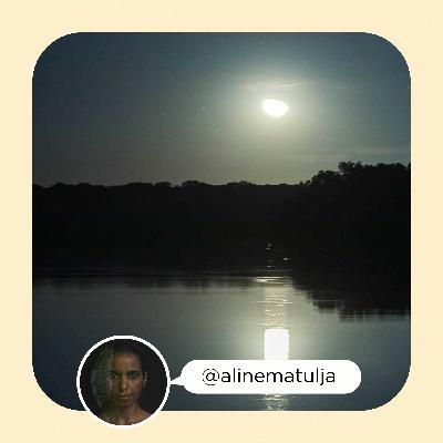 #PalavrasEmVoz Episódio 1- 5 Segredos da Amazônia