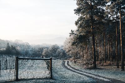 Lessons from the Woods - Trailer