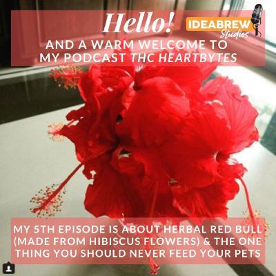 An energy drink made from flowers & a food fatal for furbabies