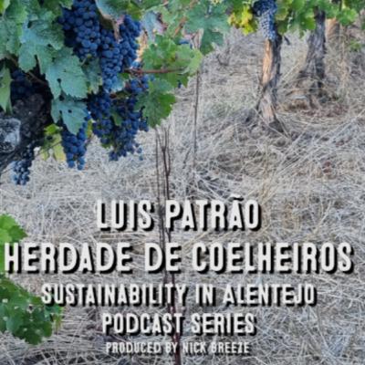 Ep 7. Luis Patrão at Herdade de Coelheiros - Regenerative, Resilient, Balanced