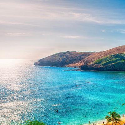 Think it. Speak it. Do it. See it.