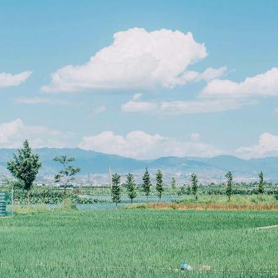 #5 Trở thành phiên bản bạn hằng ao ước