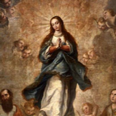 Para rezar o Evangelho do 2o. Domingo de Advento