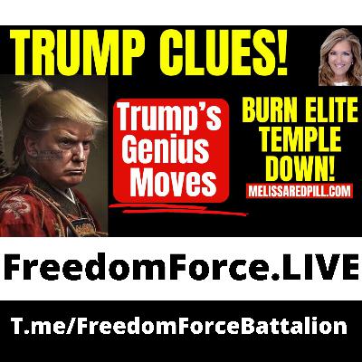 Trump's Genius Moves 12.7.25