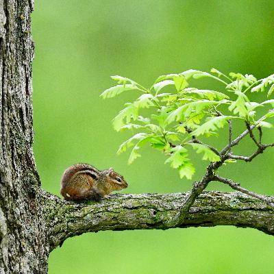 Beating the Heat: Part 2 | Season 3, Episode 5 Beating the Heat: Part 2 | Season 3, Episode 5