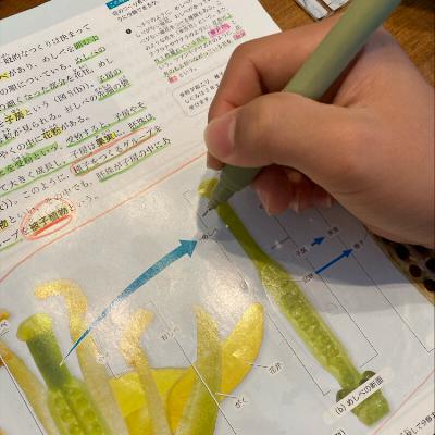 #1694 理科32点から100点への道✨ from Radiotalk