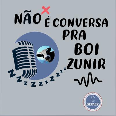 Mitos E Verdades Sobre O Zumbido (Com Dra. Tanit Ganz Sanchez) Mitos E Verdades Sobre O Zumbido (Com Dra. Tanit Ganz Sanchez)