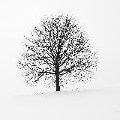 A Solstice Blessing A Solstice Blessing