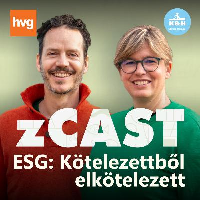 Az ESG tényleg azt jelentené, hogy “egyre sokasodó gondok”?