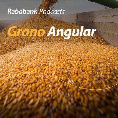 Agroaranceles y más Agroaranceles y más
