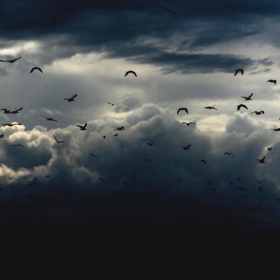 GENIUS OF NOTHING PODCAST 21 - Īśvarapraṇidhāna "Surrender"