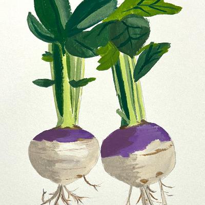 The real star was the rutabaga