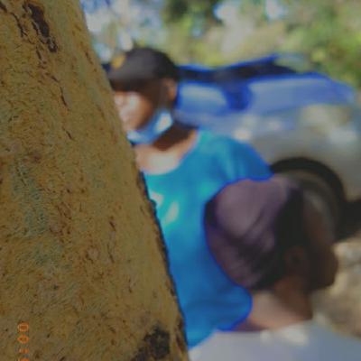 The failed introduction