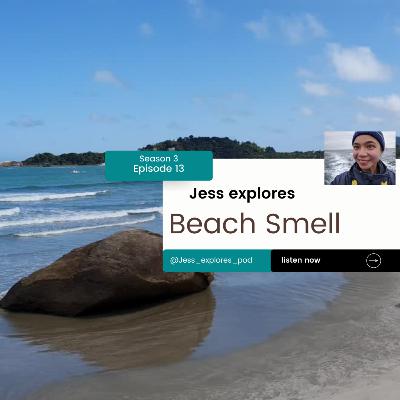 Beach smell Beach smell
