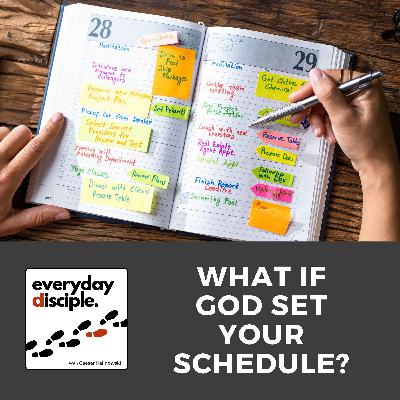 What If God Set Your Schedule? What If God Set Your Schedule?
