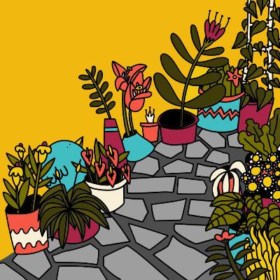 Cultivo en macetas Cultivo en macetas