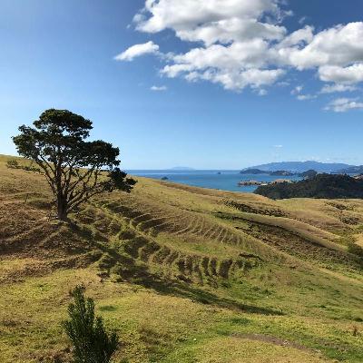 Reclaiming, story 8: Back to the Garden