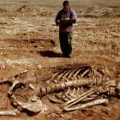 Nephilim: Supernatural Breed or Super Big Falsity?