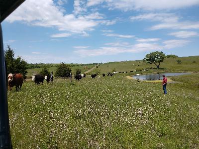 january 2025 january 2025