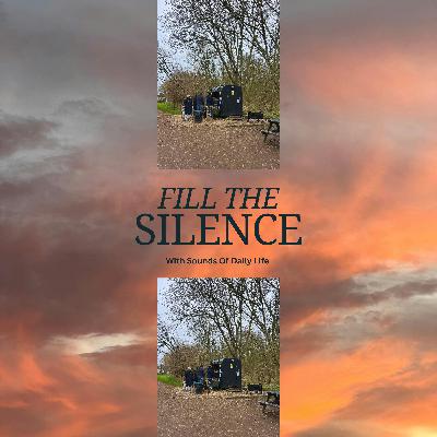 Birdsong & River Flow: A Natural Soundscape