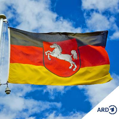 VW in der Krise - und jetzt?