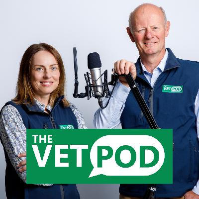 Introductory episode: Meet the hosts