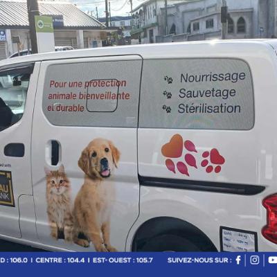 Well‑Being of Strays : un refuge durable pour les animaux errants, le prochain objectif phare de l’association