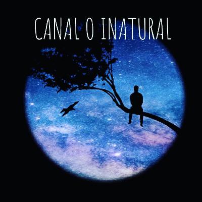 Som de Chuva para Dormir 1hora