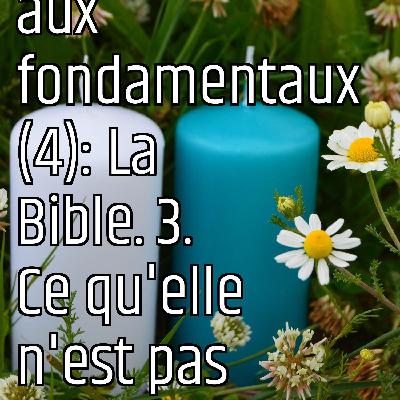 Revenons aux fondamentaux (4): La Bible. 3. Ce qu'elle n'est pas