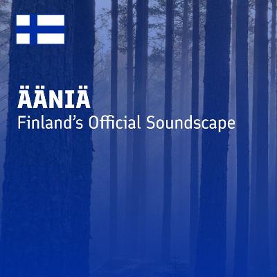 Metsässä kaikki hyvin (All Is Well in the Forest)
