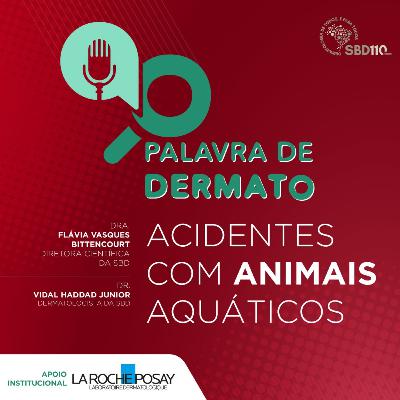 Acidentes com animais aquáticos #18
