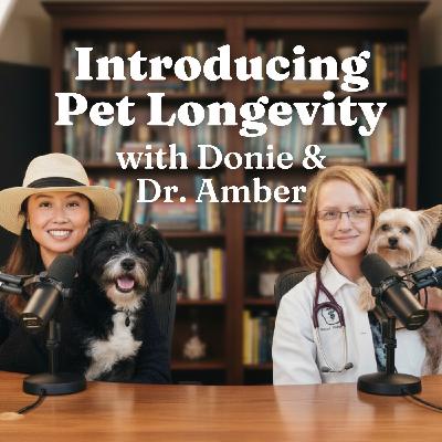 Introducing Pet Longevity with Donie & Dr. Amber for Dogs, Cats, Pet Parents Introducing Pet Longevity with Donie & Dr. Amber for Dogs, Cats, Pet Parents
