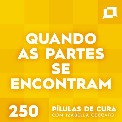 #250 - Quando as partes se encontram