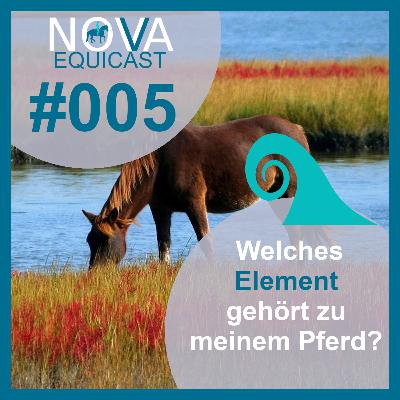 005 Welches Element gehört zu meinem Pferd?