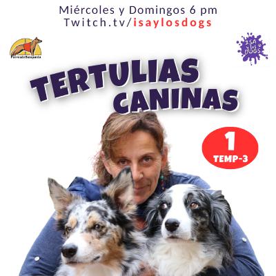 Un guía canino enamorado de su trabajo🐕🦺: Paco Ledesma- Servicio Cinológico Guardia Civil🔸Programa 16/11/25🔸 Un guía canino enamorado de su trabajo🐕🦺: Paco Ledesma- Servicio Cinológico Guardia Civil🔸Programa 16/11/25🔸