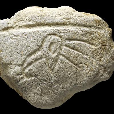 #103 - Upper Paleolithic of Levant