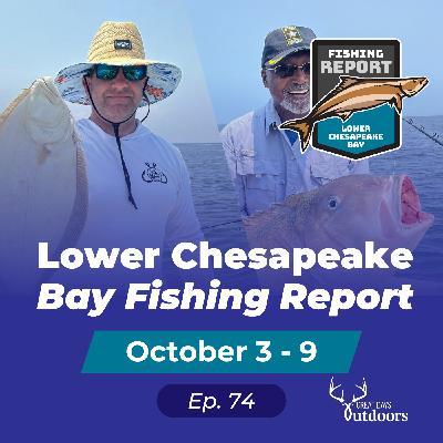 Flounder & Cobia Tips, Charter Insights, and Conservation Strategies Flounder & Cobia Tips, Charter Insights, and Conservation Strategies