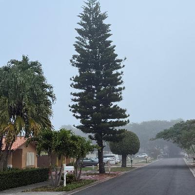 DESEABA LA AYUDA (E2042). DESEABA LA AYUDA (E2042).